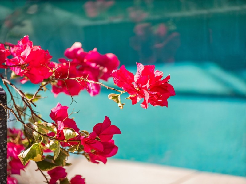 34 Stonehawke Place, The Gap QLD 4061