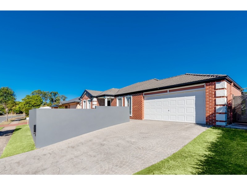 19 Charolais Crescent, Upper Kedron QLD 4055