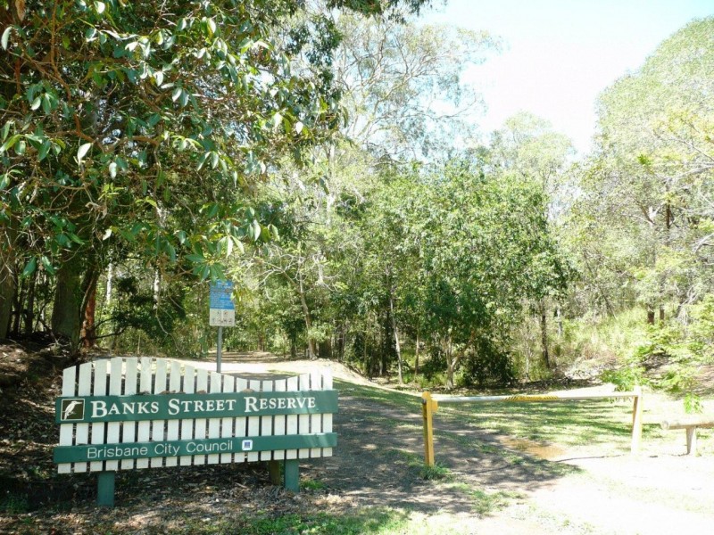 17 Gavan Street, Ashgrove QLD 4060