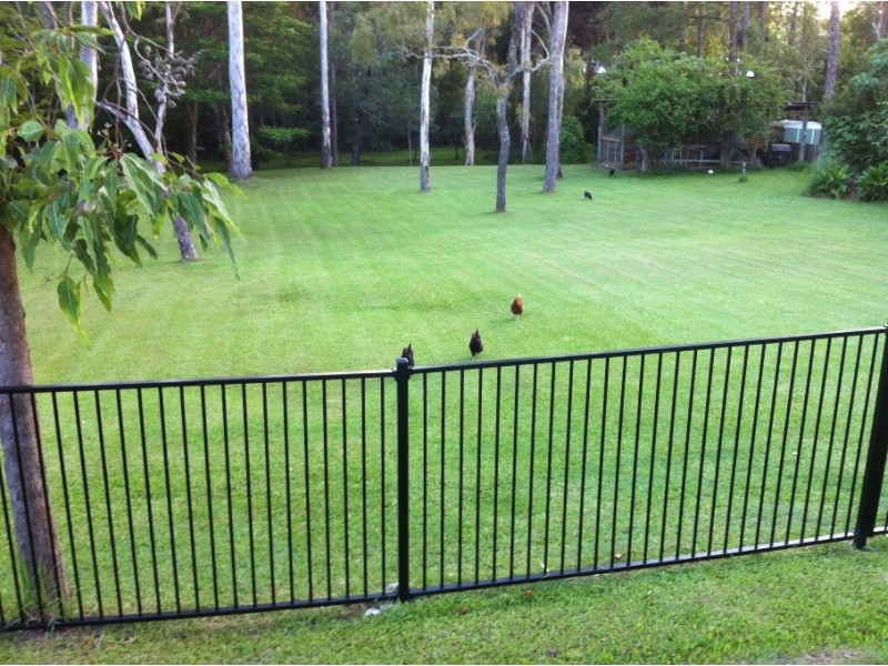 234 Payne Road, The Gap QLD 4061