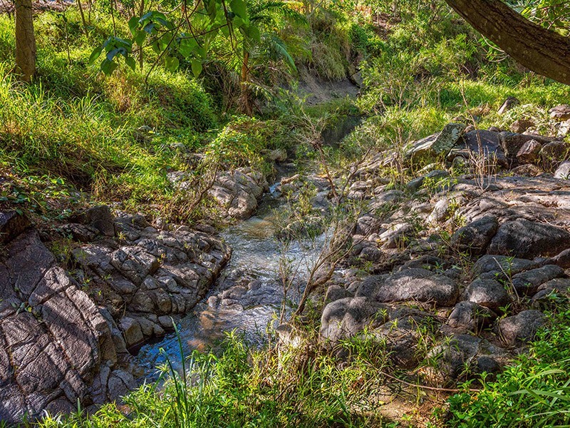 39 Bromwich Street, The Gap QLD 4061