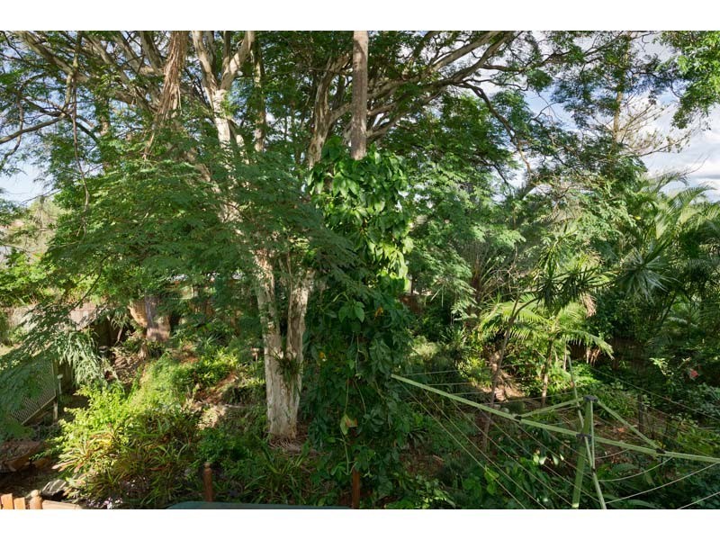 50 Binowee Street, Aspley QLD 4034