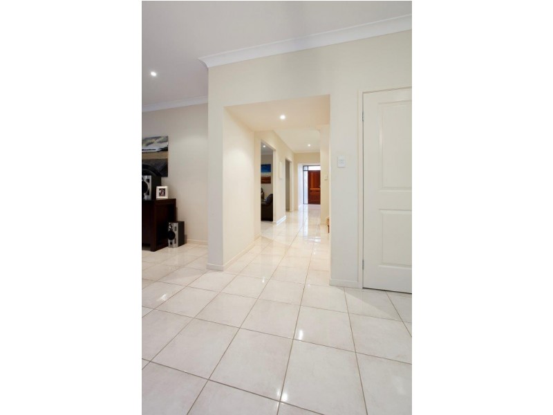 38 McCormack Avenue, Ashgrove QLD 4060