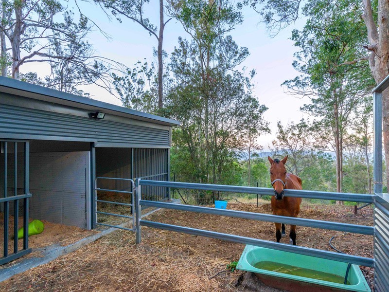 1350 Mt Nebo Road, Jollys Lookout QLD 4520