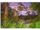 52 Davies Road, Ashgrove QLD 4060