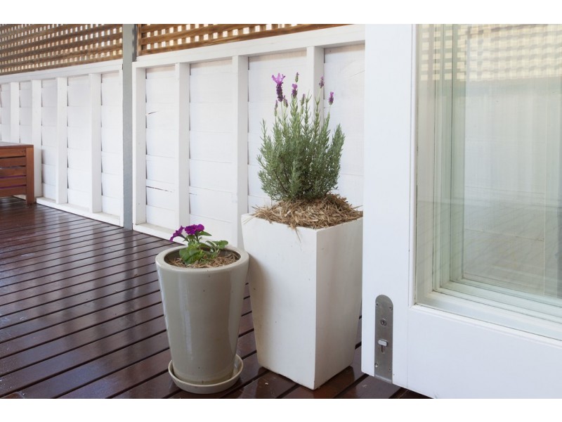 47 Ramsay Street, Kedron QLD 4031