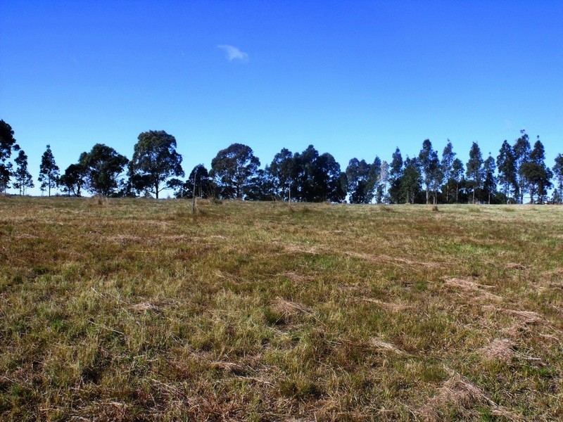 803 Bellview Avenue, Mount Vernon NSW 2178