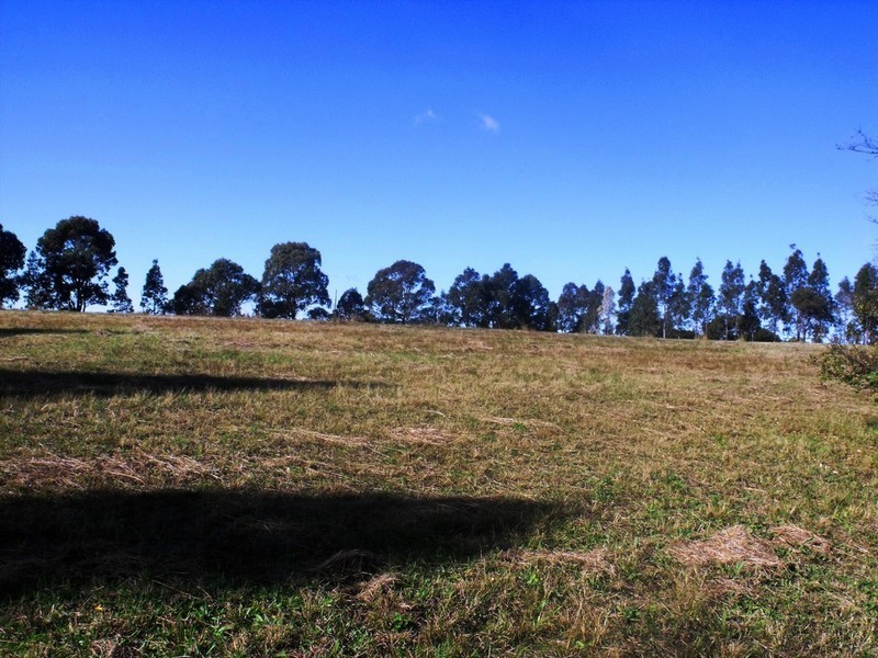 803 Bellview Avenue, Mount Vernon NSW 2178