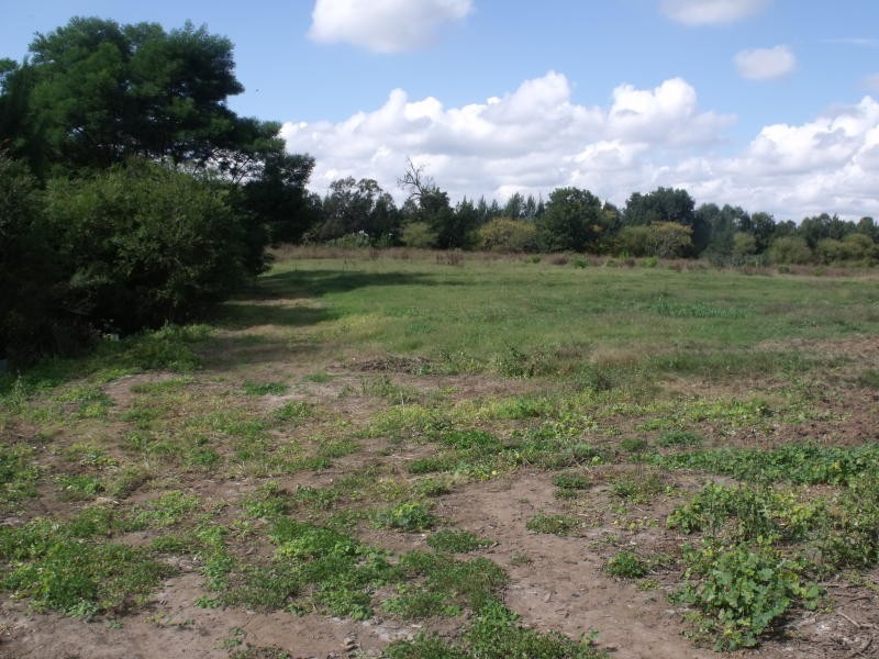 38 Springwood Road, Agnes Banks NSW 2753