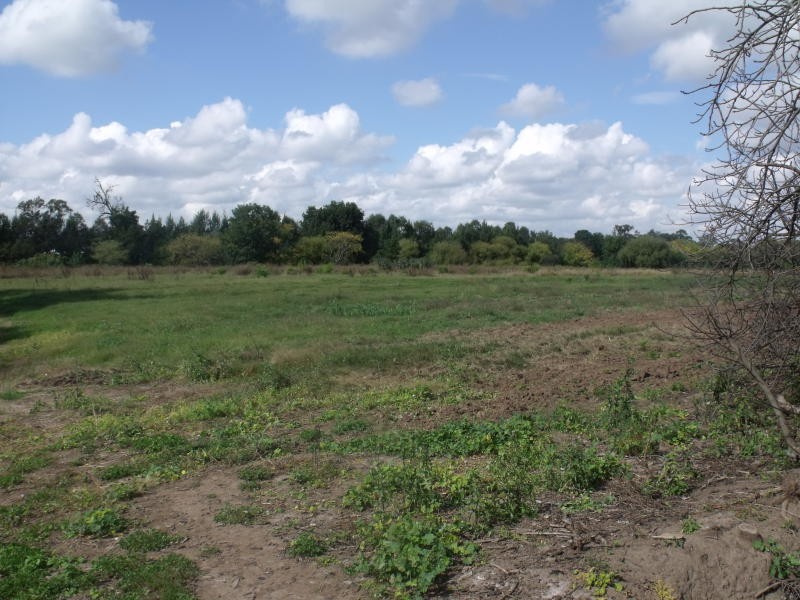 38 Springwood Road, Agnes Banks NSW 2753