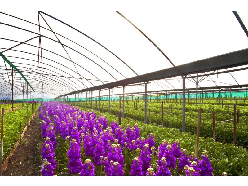 Horsley Park NSW 2175