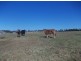Cecil Park NSW 2178