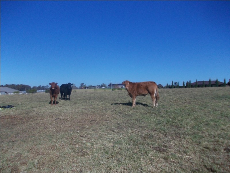 Cecil Park NSW 2178