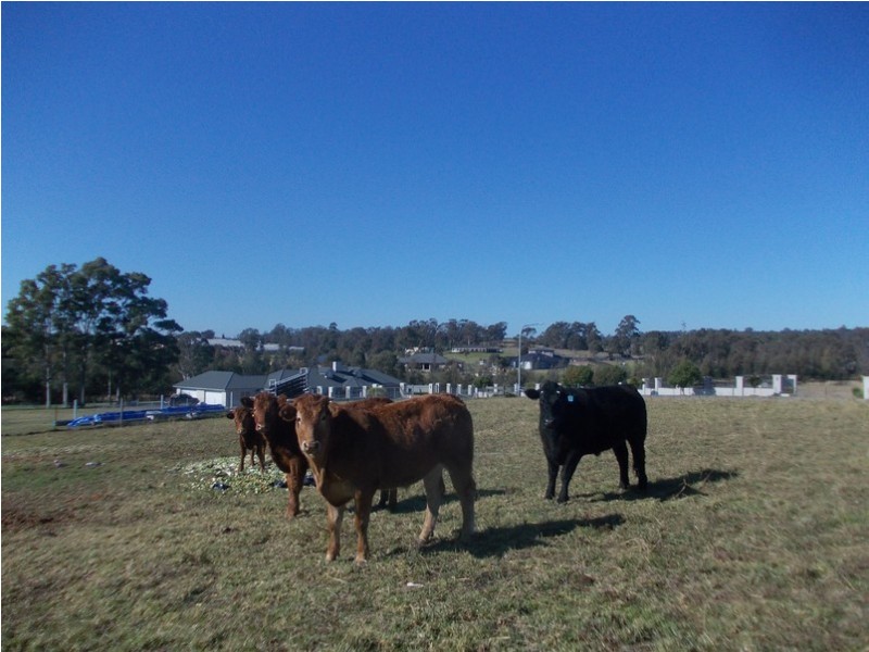 Cecil Park NSW 2178