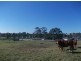 Cecil Park NSW 2178