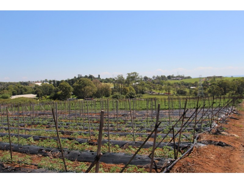 Horsley Park NSW 2175