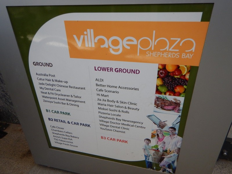 At 141 Bowden Street, Meadowbank NSW 2114