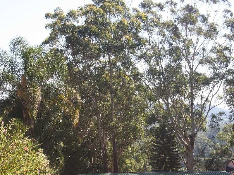 92 The Crescent, Helensburgh NSW 2508