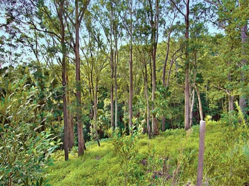 Lot 45 22-26 Domville Road, Otford NSW 2508