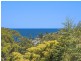 23 Sheridan Crescent, Stanwell Park NSW 2508