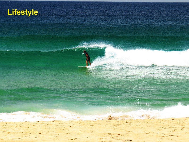 12 Murrawal Road, Stanwell Park NSW 2508