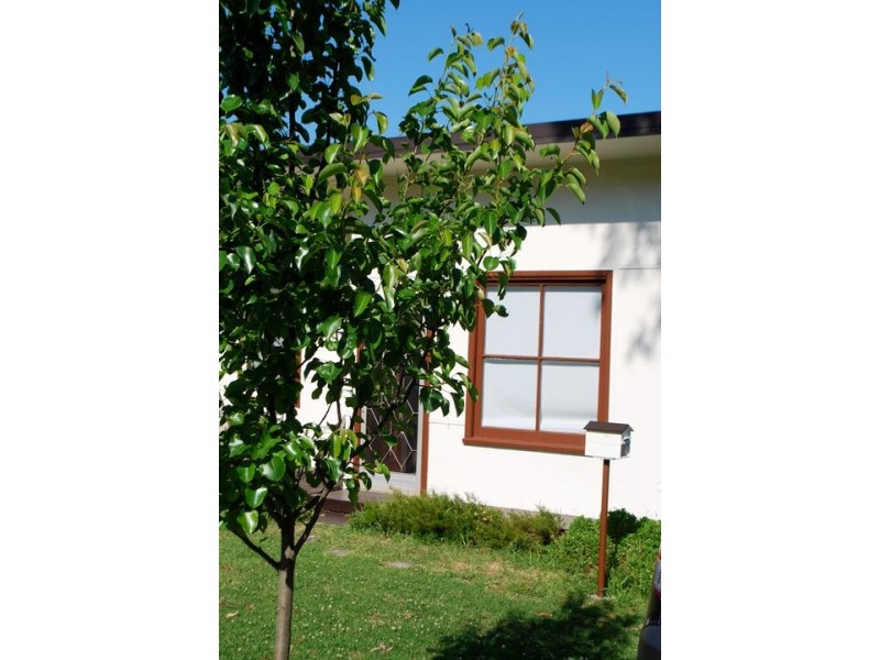 19 Postmans Track, Helensburgh NSW 2508