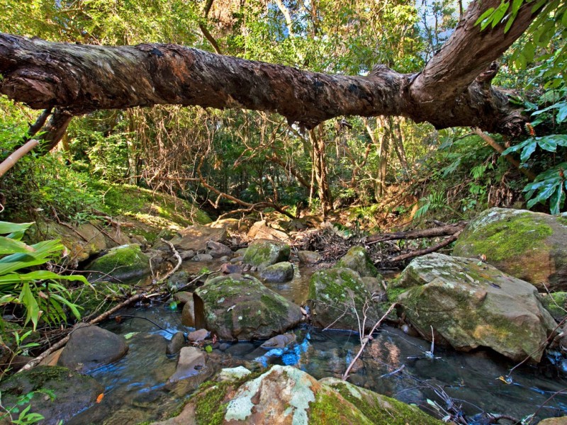 5 Old Coast Road, Stanwell Park NSW 2508