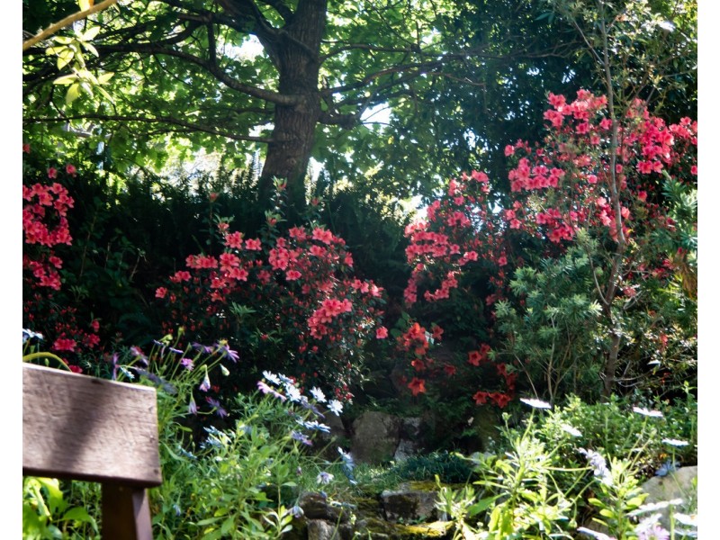 27 Old Farm Road, Helensburgh NSW 2508