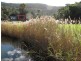 49a The Drive, Stanwell Park NSW 2508