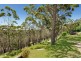 8 Lady Wakehurst Drive, Otford NSW 2508