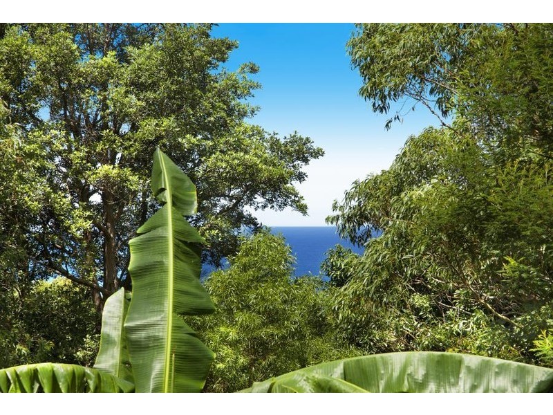 1 Cokeworks Road, Coledale NSW 2515