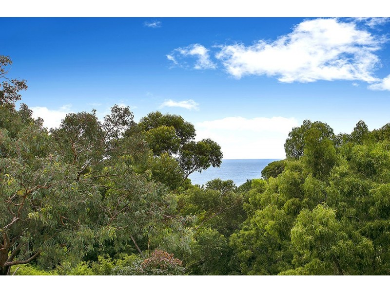 459 Lawrence Hargrave Drive, Scarborough NSW 2515