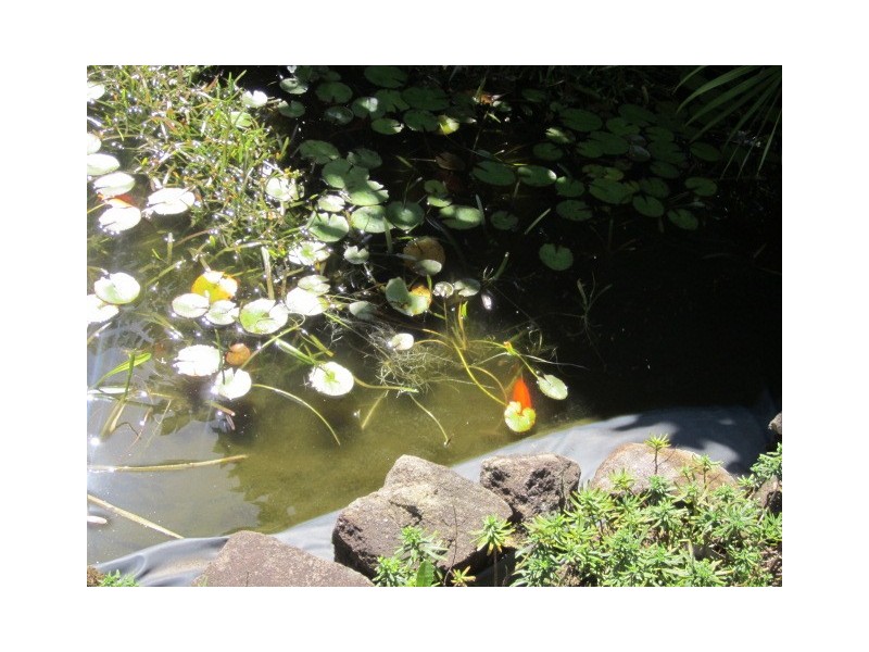 30 Plateau Road, Stanwell Tops NSW 2508