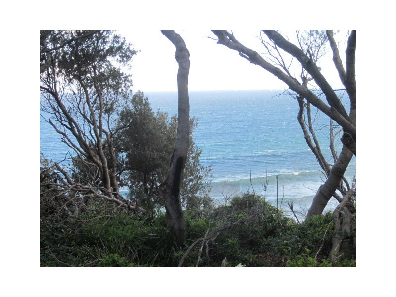 75 Lawrence Hargrave Drive, Coalcliff NSW 2508