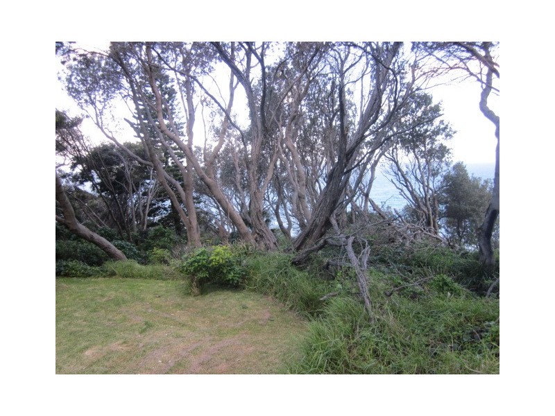 75 Lawrence Hargrave Drive, Coalcliff NSW 2508