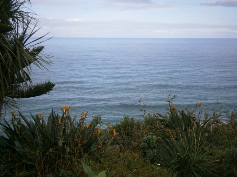 219 Lawrence Hargrave Drive, Coalcliff NSW 2508