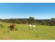 490 Darkes Forest Road, Darkes Forest NSW 2508