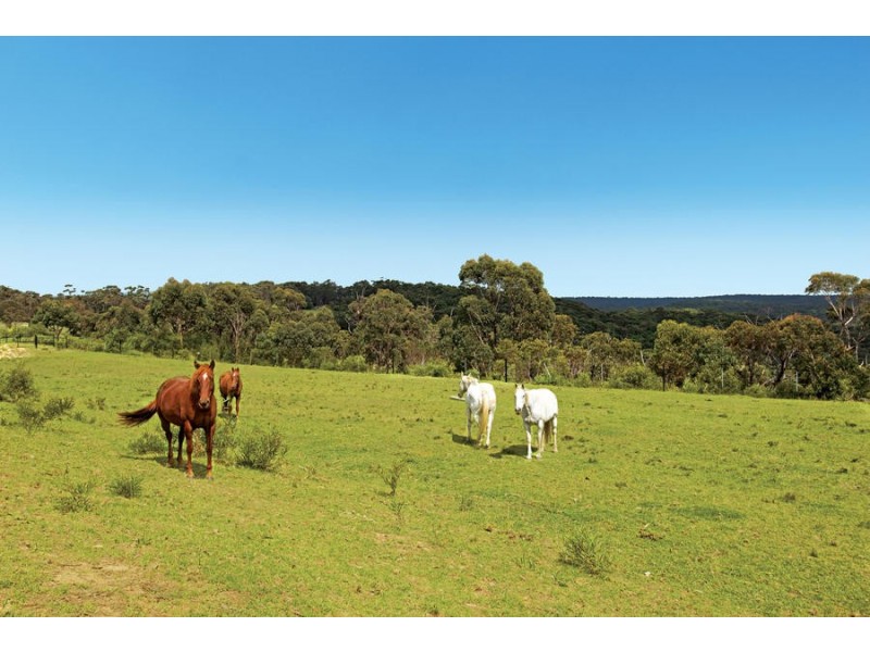 490 Darkes Forest Road, Darkes Forest NSW 2508