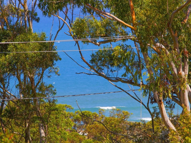 39 Sheridan Crescent, Stanwell Park NSW 2508