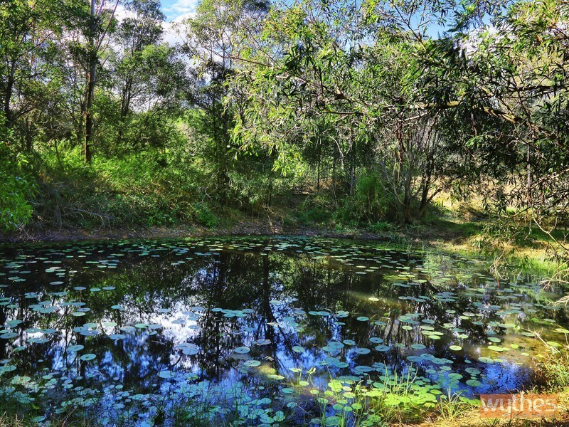 511-525 Coles Creek Road, Cooran QLD 4569