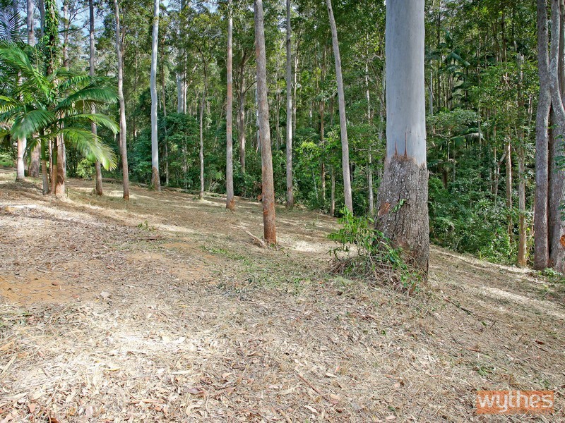 28 White Wood Court, Lake Macdonald QLD 4563