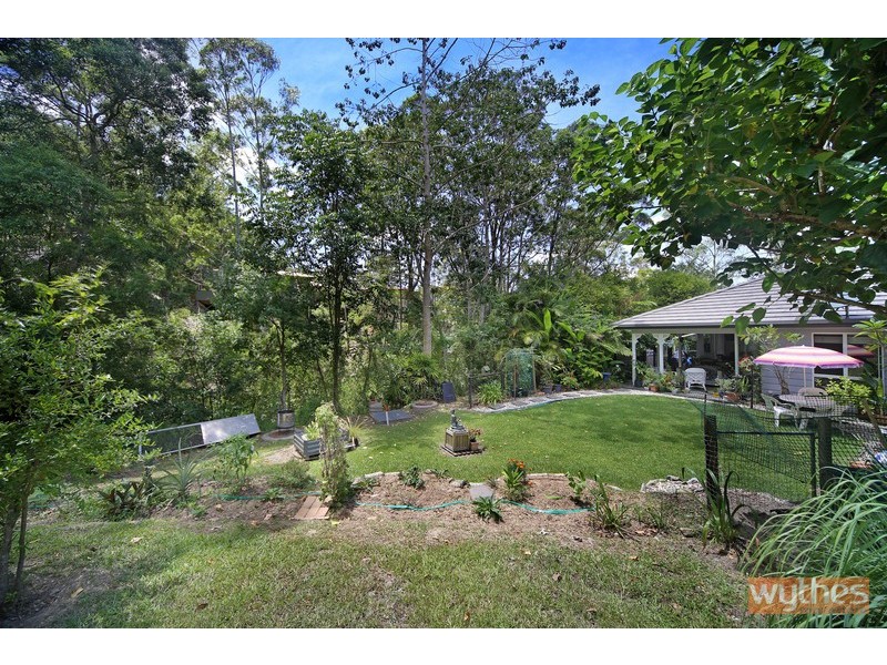 10 William Road, Eumundi QLD 4562