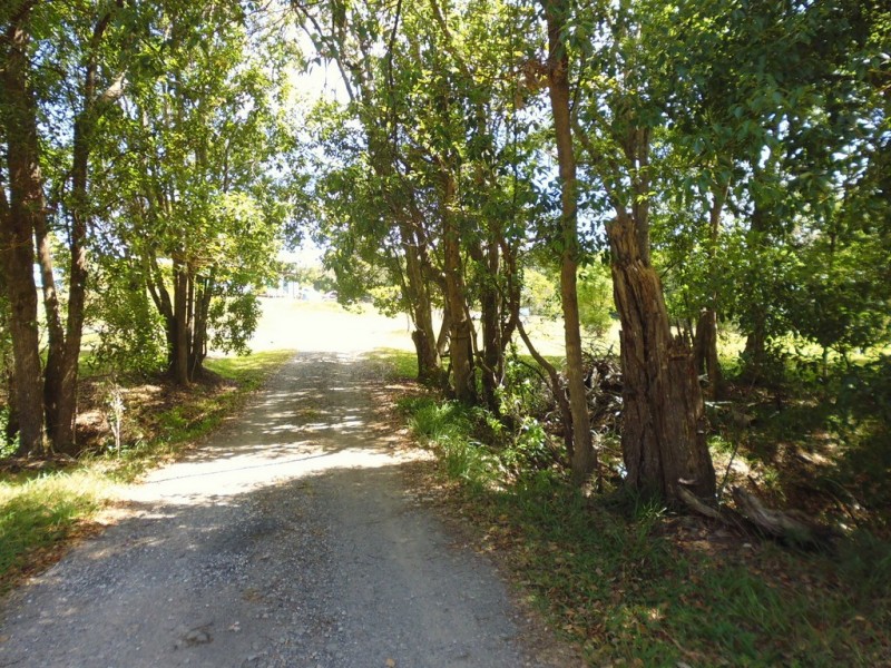 172 Ferrells Road, Cooroy QLD 4563