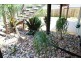 17 Cordwood Drive, Cooroy QLD 4563