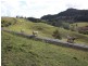 lot 7, 65-87 Booyong Drive, Black Mountain QLD 4563