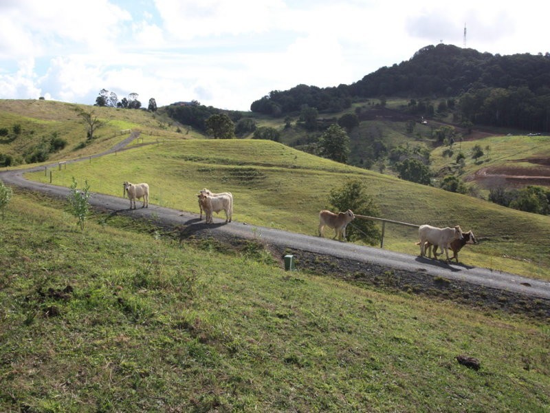lot 7, 65-87 Booyong Drive, Black Mountain QLD 4563