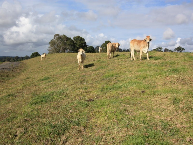 lot 7, 65-87 Booyong Drive, Black Mountain QLD 4563