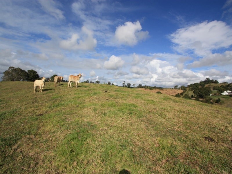 lot 7, 65-87 Booyong Drive, Black Mountain QLD 4563