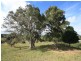 lot 7, 65-87 Booyong Drive, Black Mountain QLD 4563