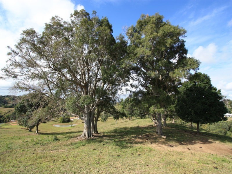 lot 7, 65-87 Booyong Drive, Black Mountain QLD 4563
